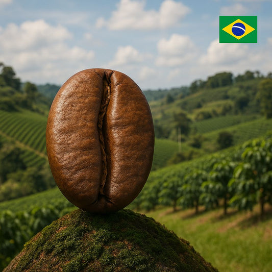 سانتوس كلاسيكو (Santos Classico)