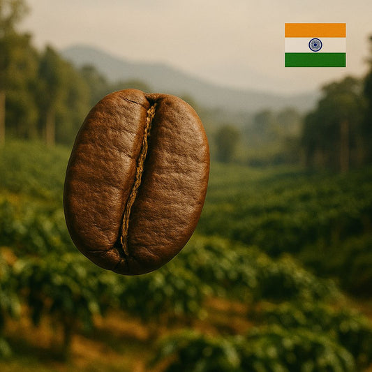 ميسور سبيشال (Mysore Special)