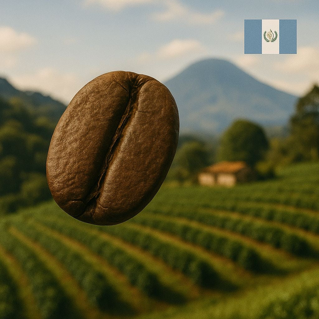 جواتيمالا ريزيرفا (Guatemala Reserva)